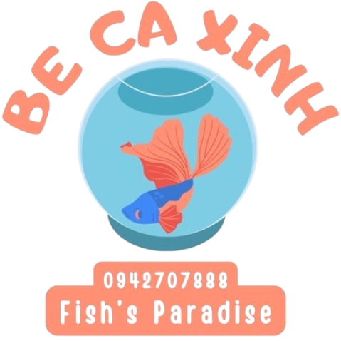 Bể cá xinh